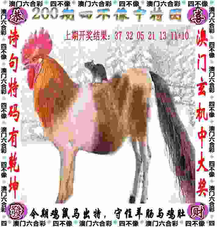 “杜”步巴黎｜中国第2金！跳水梦之队开门红，记者现场见证女双3米板夺冠
